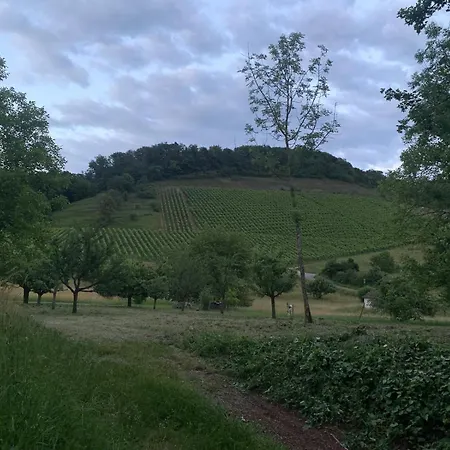 In Spielberg * Sachsenheim (Ludwigsburg)